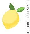 Illustration of lemon with leaves 141181324