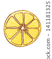 Lemon illustration 141181325