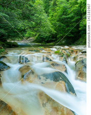 Mountain stream and lush green forest Mountain stream and lush green forest 141181907