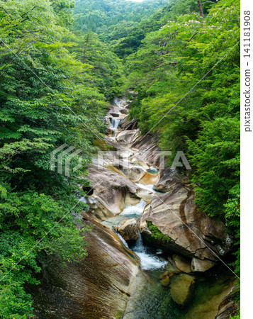 A stream surrounded by lush greenery and clear water flowing over rocky cliffs. A stream surrounded by lush greenery and clear water flowing over rocky cliffs. 141181908