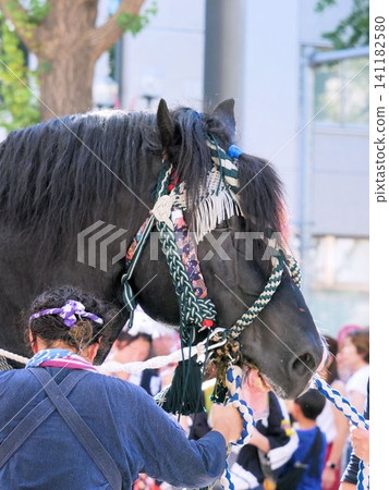 Decorated horses participating in the Fujisaki Shrine Grand Festival (Kumamoto City, Kumamoto Prefecture) Decorated horses participating in the Fujisaki Shrine Grand Festival (Kumamoto City, Kumamoto Prefecture) 141182580
