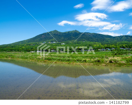 筑波山和稻田(茨城縣筑波市上郡) 筑波山和稻田(茨城縣筑波市上郡) 141182799