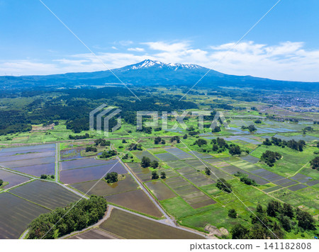 鳥海山和九十九島的稻田(秋田縣日保市) 鳥海山和九十九島的稻田(秋田縣日保市) 141182808