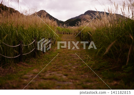 A cobblestone path and mountain range leading to an autumn plateau surrounded by pampas grass. A cobblestone path and mountain range leading to an autumn plateau surrounded by pampas grass. 141182815