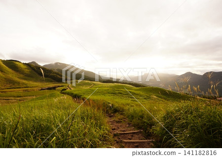 The dramatic and breathtaking scenery of Soni Plateau, where pampas grass shines in the setting sun. The dramatic and breathtaking scenery of Soni Plateau, where pampas grass shines in the setting sun. 141182816