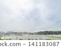 Mist rising over rice paddies; fog; sea fog; ground fog; steam fog; weather; rice paddies 141183087