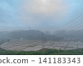Morning mist landscape; fog; mist; weather; nature; rural area; mountainous area 141183343