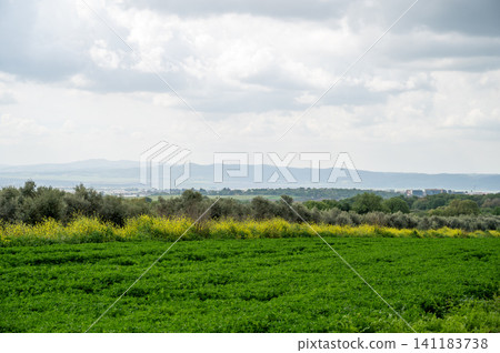 beautiful landscape in moshav Bethlehem of Galilee in Israel beautiful landscape in moshav Bethlehem of Galilee in Israel 141183738