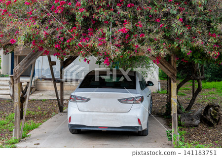 parking for a car in a pergola with flowers on the roof in the village 141183751