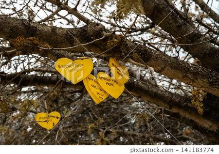 yellow hearts on a tree with the inscription bring them home yellow hearts on a tree with the inscription bring them home 141183774