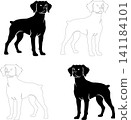 French Brittany dog standing silhouette vector image 141184101