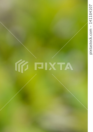 A clean, watercolor-style background with a fresh green gradient; abstract material (static, vertical orientation). A clean, watercolor-style background with a fresh green gradient; abstract material (static, vertical orientation). 141184107