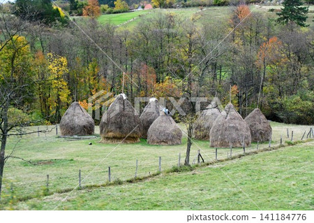 Serbia, Mokra Gora, rural area, pastoral landscape, haystacks 141184776