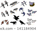 A set of bird illustrations. Familiar Japanese birds. Isometric drawings. 141184904