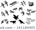 A set of bird illustrations. Familiar Japanese birds. Isometric drawings. 141184905