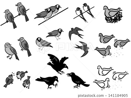 A set of bird illustrations. Familiar Japanese birds. Isometric drawings. A set of bird illustrations. Familiar Japanese birds. Isometric drawings. 141184905