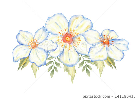 Watercolor floral composition with white blossoms and leaves for wedding and first communion invitation design and decorative stationery element for ceremony cards. Isolated. Hand drawn 141186433