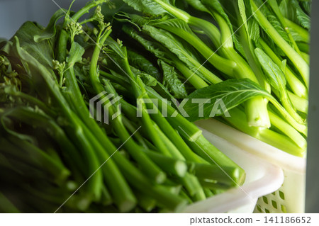 中式餐廳新鮮蔬菜萵苣芥蘭青菜白色塑膠籃廚房食材攝影 141186652