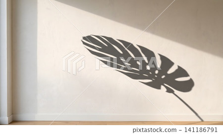 A shadow of a leaf on a wall 141186791