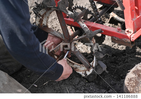Machinery covers organic potato in black earth during spring. 141186888