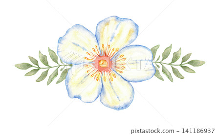 Horizontal blue watercolor flower with green leaves for wedding floral border, header or invitation design element. Hand drawn. Isolated. For first communion, baptism, save the date greeting card Horizontal blue watercolor flower with green leaves for wedding floral border, header or invitation design element. Hand drawn. Isolated. For first communion, baptism, save the date greeting card 141186937