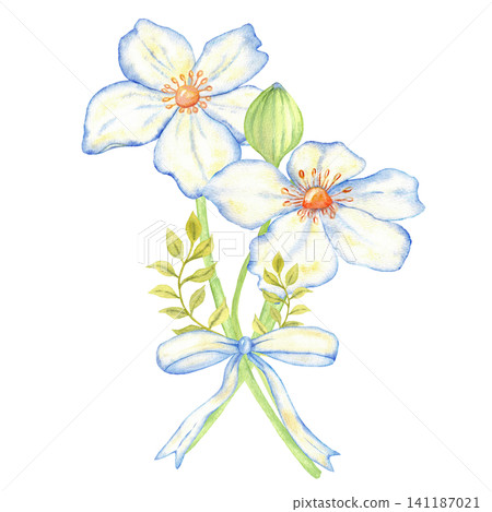 Watercolor white and blue wedding bouquet with ribbon and leaves for wedding invitation background and floral design. For first communion, baptism, save the date greeting card, label. Hand drawn Watercolor white and blue wedding bouquet with ribbon and leaves for wedding invitation background and floral design. For first communion, baptism, save the date greeting card, label. Hand drawn 141187021