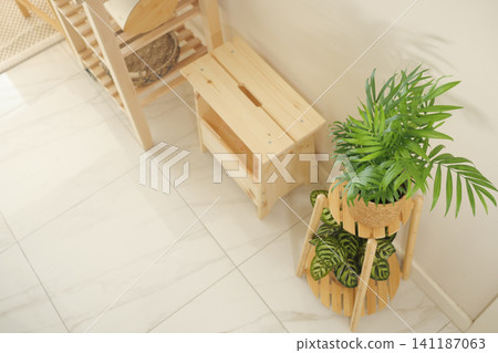 Wooden furniture and vibrant plants brighten a cozy corner Wooden furniture and vibrant plants brighten a cozy corner 141187063