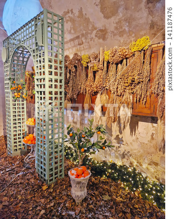Maincy, France - December 11, 2025: An indoor orangery with scattered leaves on the floor, bunches of dried plants on the walls give a rustic autumnal feel inside the historic Vaux-le-Vicomte Chateau Maincy, France - December 11, 2025: An indoor orangery with scattered leaves on the floor, bunches of dried plants on the walls give a rustic autumnal feel inside the historic Vaux-le-Vicomte Chateau 141187476