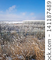 A vast winter landscape features frost-covered trees and a frozen river valley under a pale sky. Dried weeds in the foreground sway gently, their stalks dusted with rime ice. Serene, chilly atmosphere 141187489