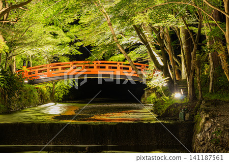 靜岡縣森町,遠富國的一宮(排名第一的神社)小國神社,一宮川和紅橋被翠綠的植物環繞。 靜岡縣森町,遠富國的一宮(排名第一的神社)小國神社,一宮川和紅橋被翠綠的植物環繞。 141187561