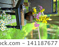 Vintage still life on an old chair with wildflowers and an old book 141187677