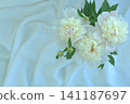 White peonies on a white background. This romantic flat-lay arrangement is perfect for wallpaper or wedding backdrops. 141187697