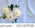 White peonies on a white background. This romantic flat-lay arrangement is perfect for wallpaper or wedding backdrops. 141187698