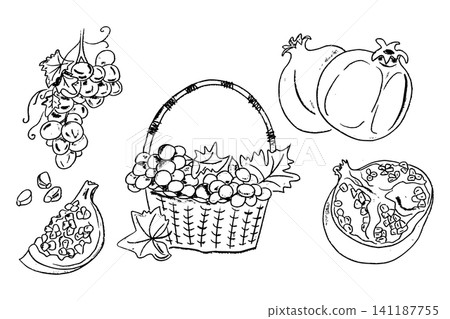 Hand-drawn illustration of assorted fruits including grapes, pomegranate, pumpkin, and watermelon in a woven basket with leaves on a white background Hand-drawn illustration of assorted fruits including grapes, pomegranate, pumpkin, and watermelon in a woven basket with leaves on a white background 141187755