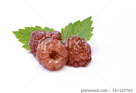 Raspberries with leaves isolated on white background Raspberries with leaves isolated on white background 141187763