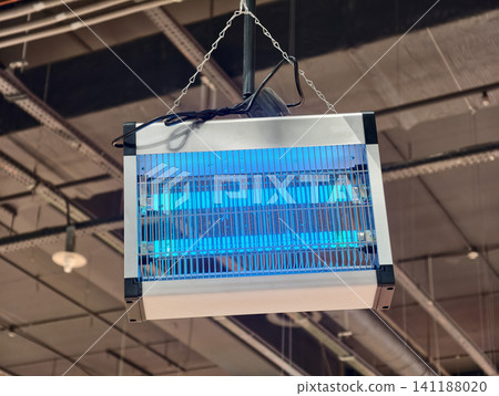 Electric UV insect killer lamp hangs in store and actively traps flies and mosquitoes. Electronic bug zapper works in supermarket to control flying pests Electric UV insect killer lamp hangs in store and actively traps flies and mosquitoes. Electronic bug zapper works in supermarket to control flying pests 141188020
