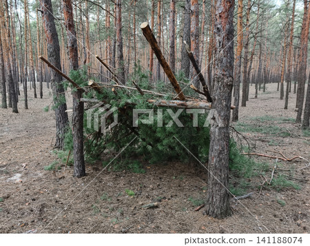 Branch structure located in a coniferous woodland, presenting a rustic outdoor shelter integrated into a natural landscape Branch structure located in a coniferous woodland, presenting a rustic outdoor shelter integrated into a natural landscape 141188074