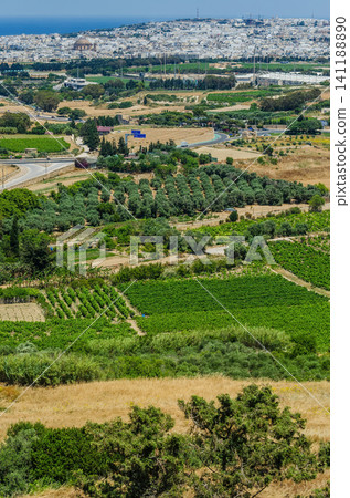 Panoramic view of Malta countryside with green vineyards, olive groves and distant town with church dome by the sea Panoramic view of Malta countryside with green vineyards, olive groves and distant town with church dome by the sea 141188890