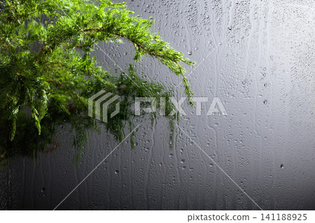 Raindrops trickle down the glass. Raindrops trickle down the glass. 141188925