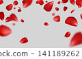 Falling red rose petals with realistic glossy floral motion, soft blurred depth and copy space for romantic wedding, Valentine, beauty and fragrance design. Vector background 141189262