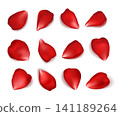 Realistic red rose petals scattered on white background, glossy floral blossom elements for romantic wedding invitation, Valentine greeting card, cosmetics, spa and beauty design. Vector 3D set 141189264