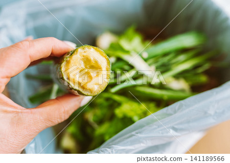 Biowaste sorting of food waste at home Biowaste sorting of food waste at home 141189566