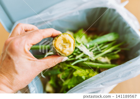 Biowaste sorting of food waste at home 141189567