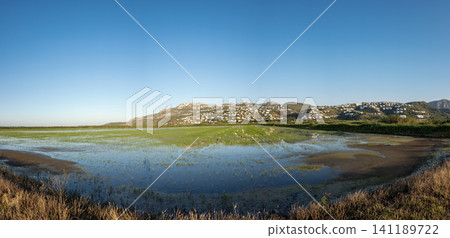 Ecological rice Bomba paddies are flooded in Pego Oliva Marjal National Park. Mountains rise in the background under a clear blue sky during daytime. Ecological rice Bomba paddies are flooded in Pego Oliva Marjal National Park. Mountains rise in the background under a clear blue sky during daytime. 141189722