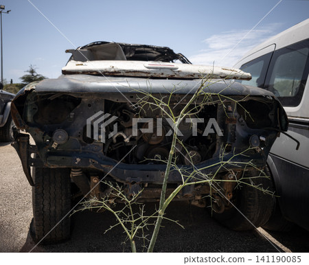 A wrecked car chassis stands abandoned with missing parts. In front of it, a small green plant grows. The sun shines on the scene in an empty lot. A wrecked car chassis stands abandoned with missing parts. In front of it, a small green plant grows. The sun shines on the scene in an empty lot. 141190085