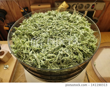Food Dehydrator Loaded with Freshly Chopped Wormwood Food Dehydrator Loaded with Freshly Chopped Wormwood 141190313