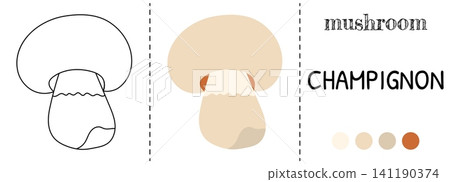 Kawaii book drawing with flat fall autumn outline style. Coloring mushroom vector illustration forest scene includes baby. Plant alphabet and color elements for cute bolete edible. Kawaii book drawing with flat fall autumn outline style. Coloring mushroom vector illustration forest scene includes baby. Plant alphabet and color elements for cute bolete edible. 141190374