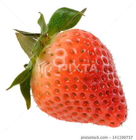 Large ripe strawberry berry with green sepals and leaves on an isolated background 141190737