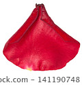 Red rose petal with velvety texture, isolated background 141190748
