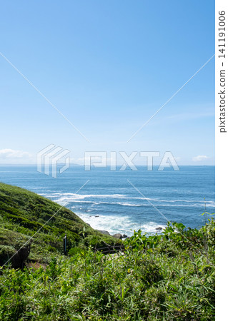 神奈川縣三浦市城島的草原和海景 神奈川縣三浦市城島的草原和海景 141191006